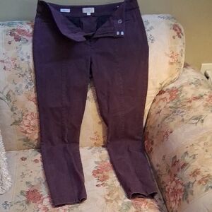 LOFT Women's Deep Purple Skinny Pants
